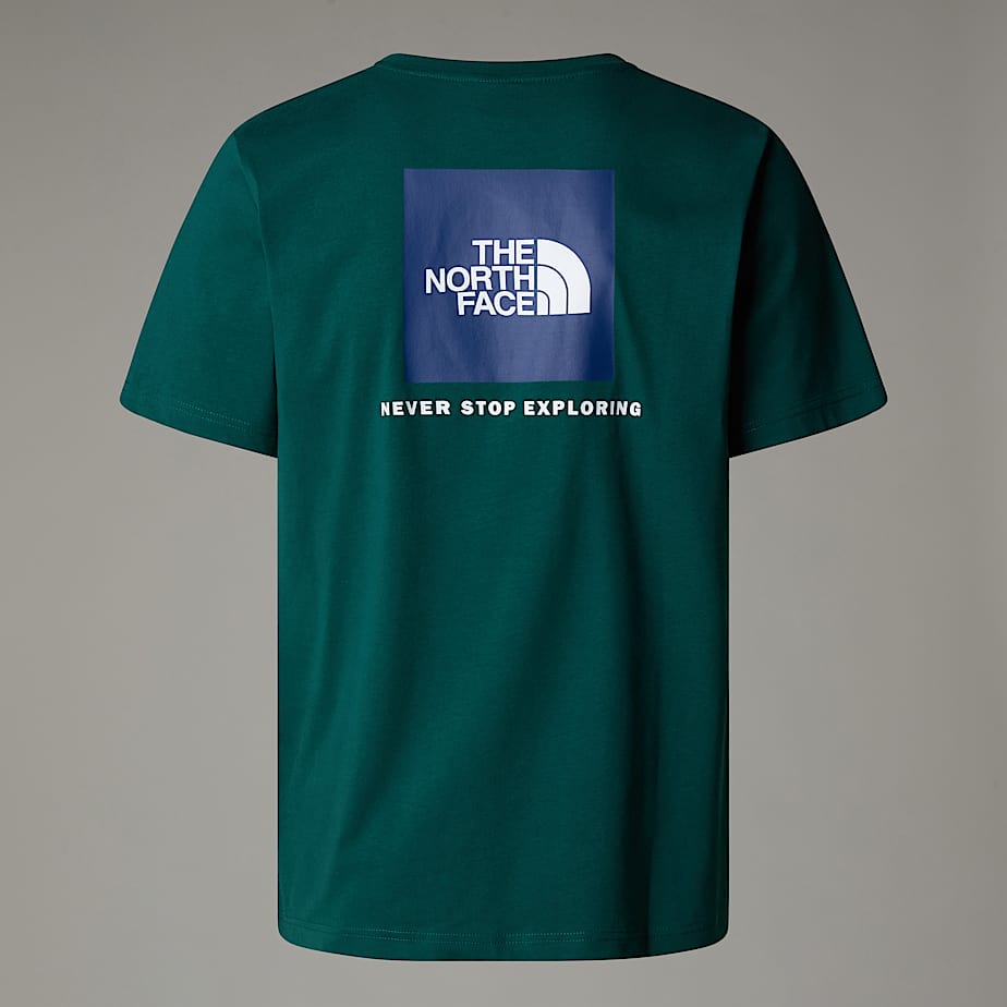 CAMISETA THE NORTH FACE HOMBRE NF0A87NPA1B