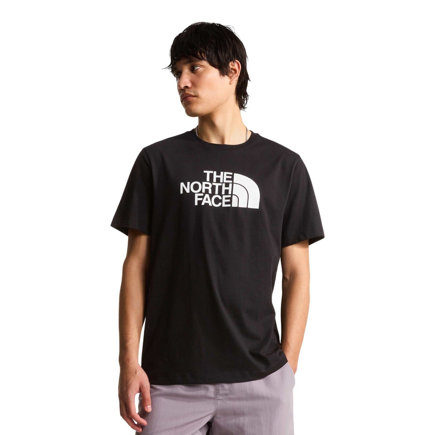 CAMISETA HOMBRE THE NORTH FACE HALF DOME REGULAR NF0A8B6JKY41