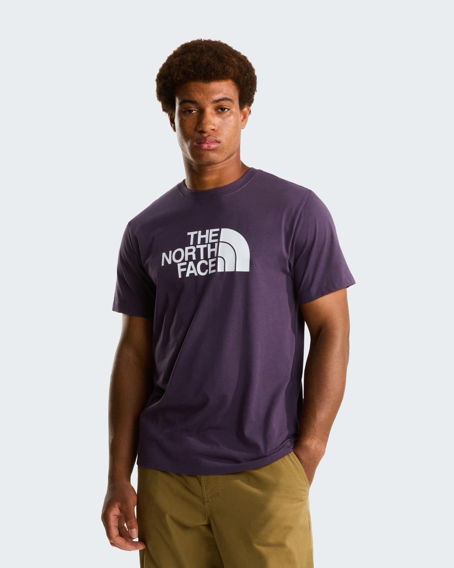 CAMISETA HOMBRE  THE NORTH FACE HALF DOME NF0A8B6JG5O1
