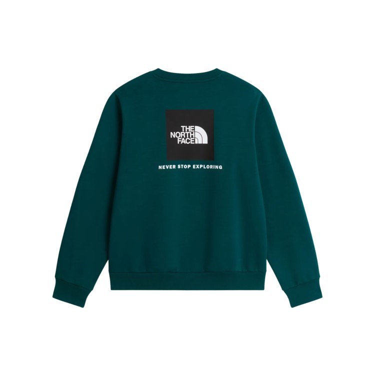 SUDADERA HOMBRE THE NORTH FACE NSE EVOLUTION NF0A8FD3N4J