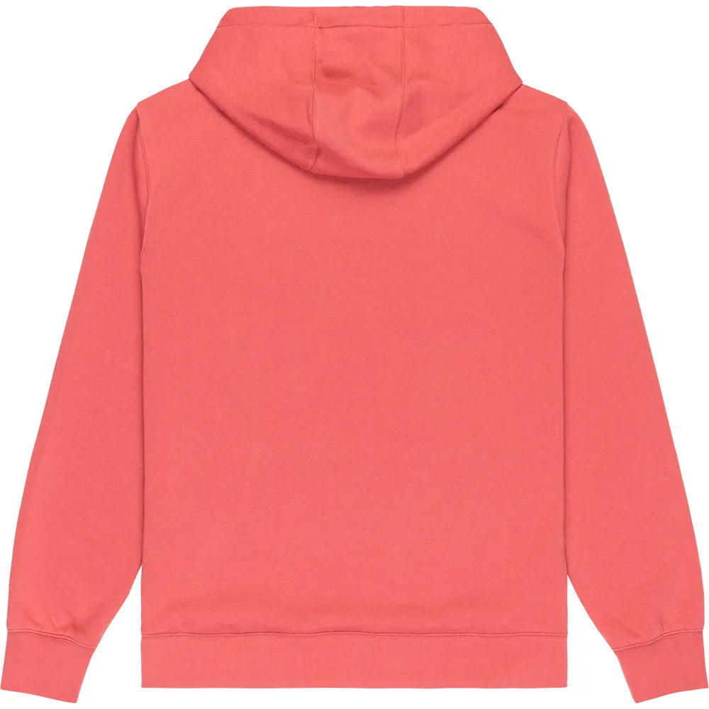 SUDADERA CAPUCHA SCREEN  FINELINE QUIKSILVER EQYFT05136