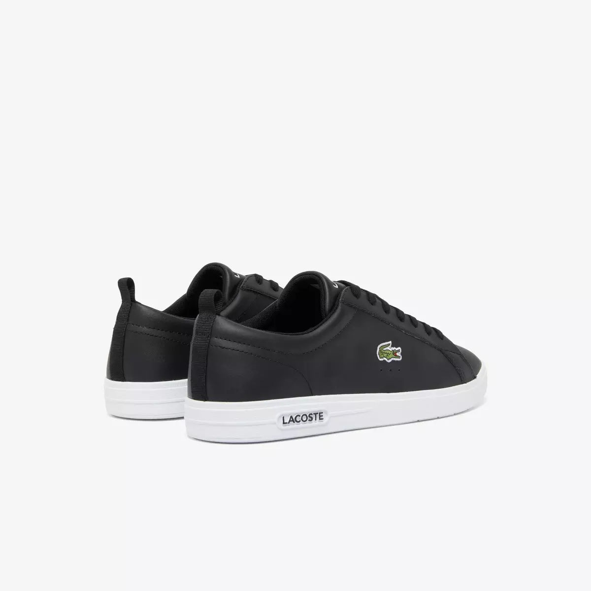 ZAPATILLA LACOSTE COURT BASE 74SMA0112312