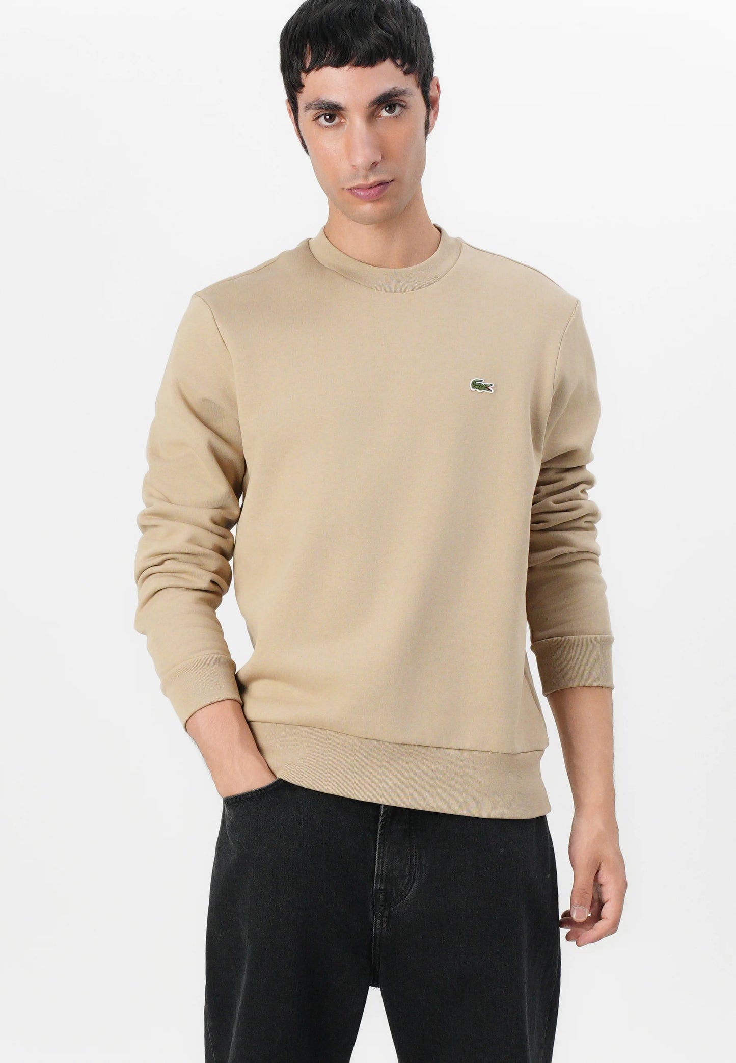 SUDADERA DE FELPA CEPILLADA LACOSTE SH960800