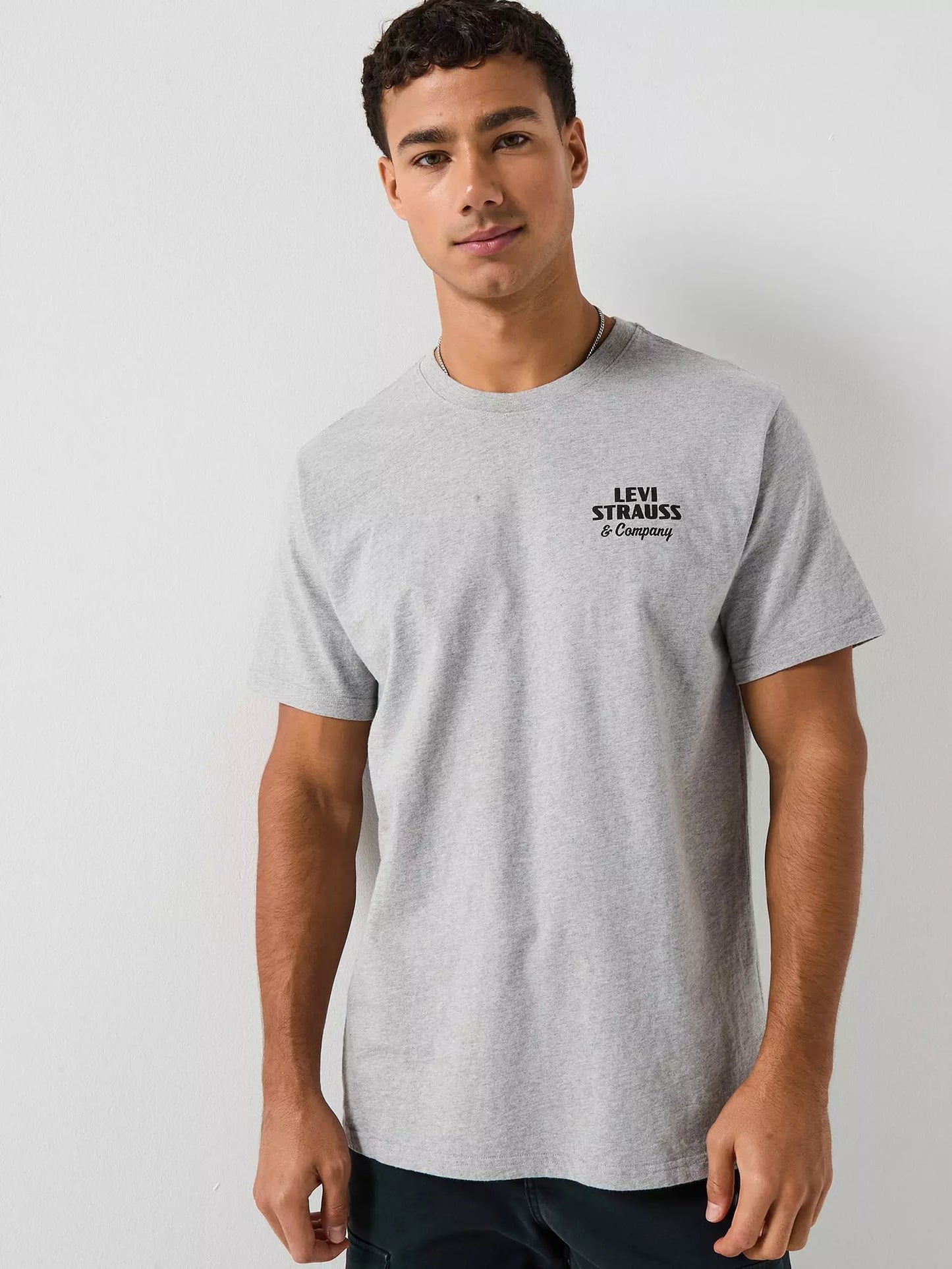 CAMISETA HOMBRE LEVIS 161432371