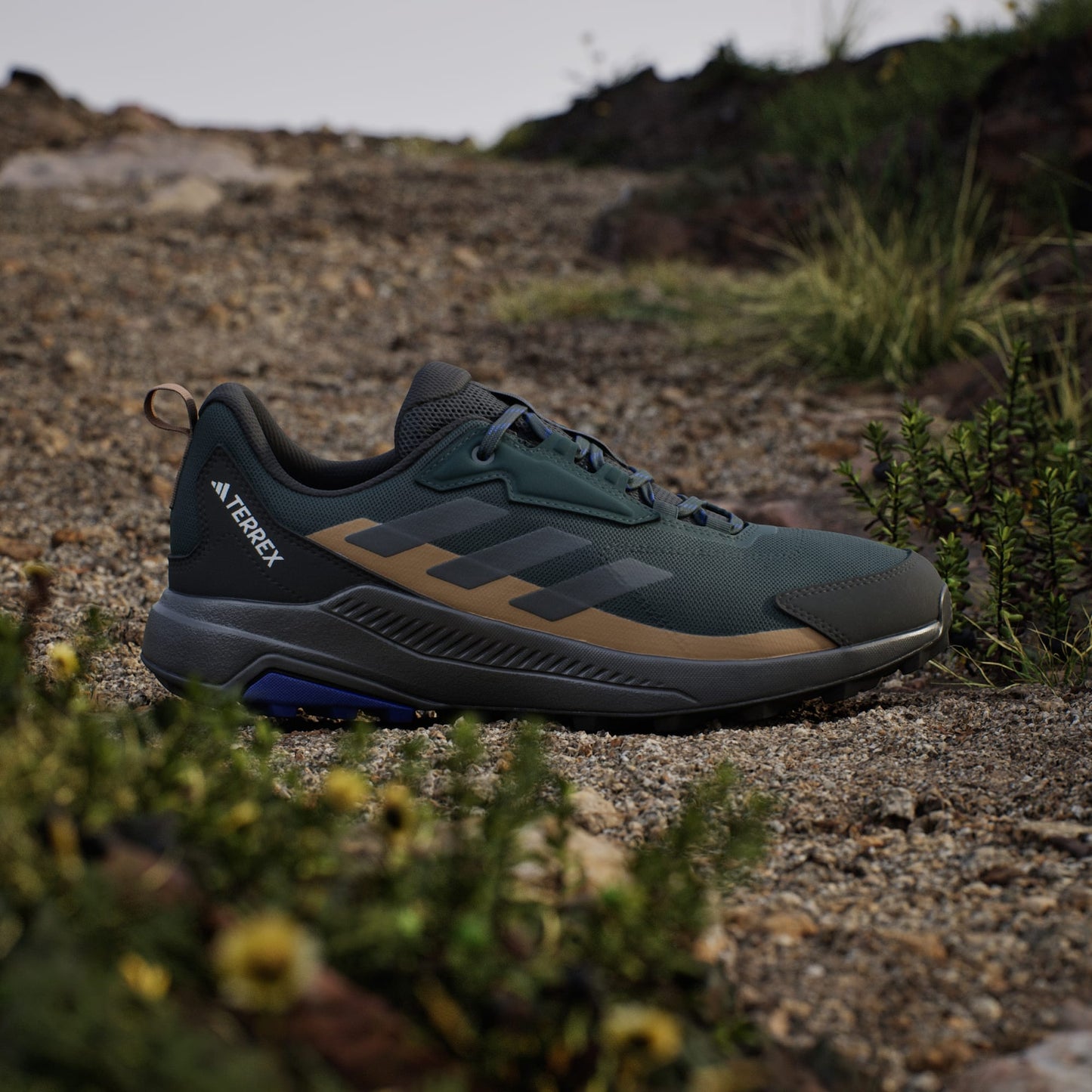 ZAPATILLA HOMBRE TERREX ANYLANDER JQ9954