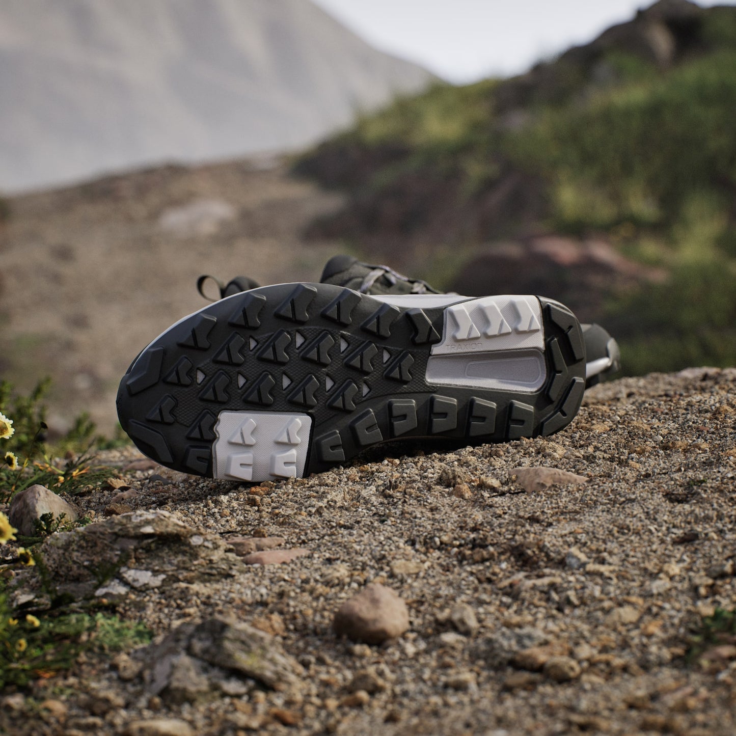 ZAPATILLAS MUJER TERREX ANYLANDER W  JQ9955