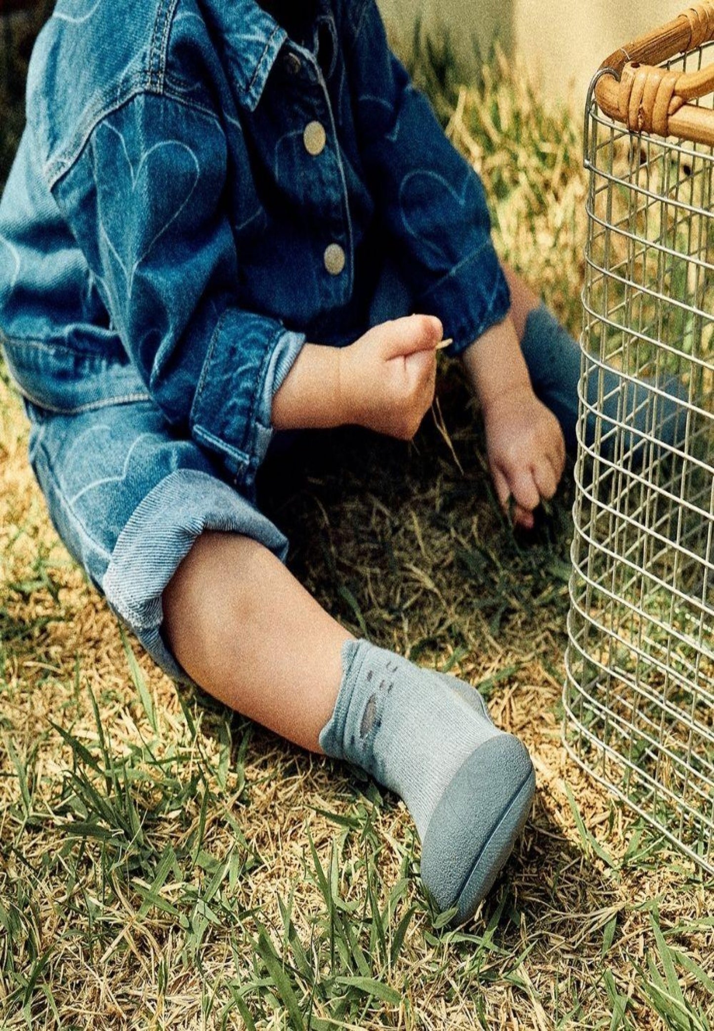 ATTIPAS ANIMALS BLUE AAN010