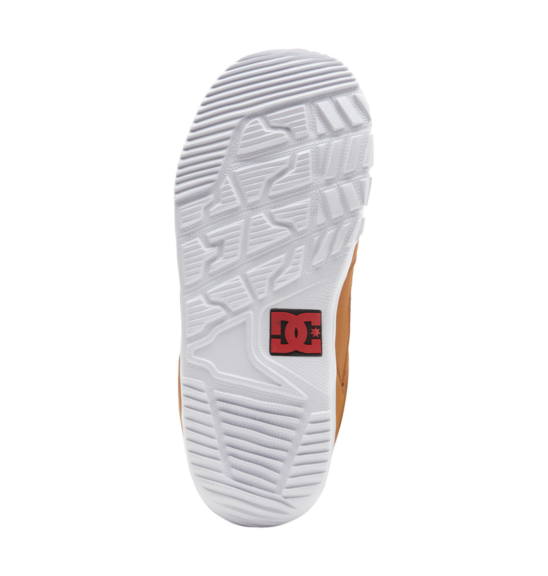 Botas de snowboard BOA DC Phase hombre