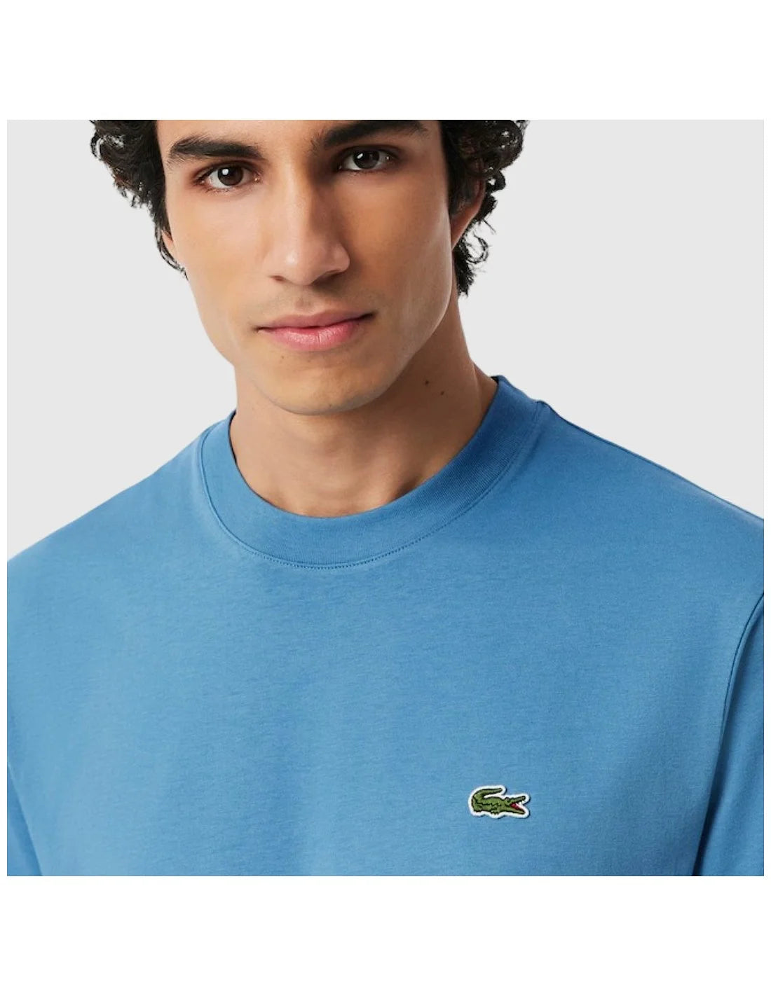 CAMISETA HOMBRE CLASICA LACOSTE TH7318
