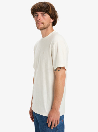 CAMISETA HOMBRE QUICKSILVER EQYKT04391