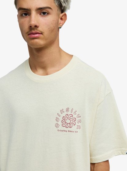 CAMISETA HOMBRE QUICKSILVER EQYZT08303