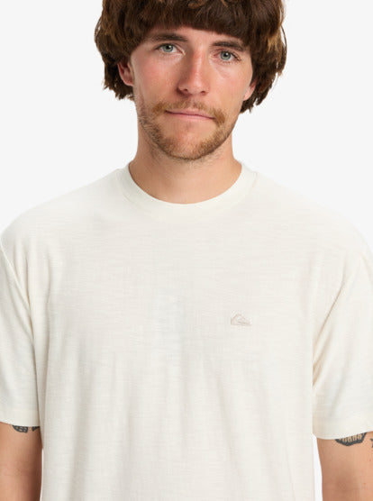 CAMISETA HOMBRE QUICKSILVER EQYKT04391