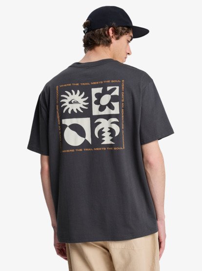 CAMISETA HOMBRE QUICKSILVER EQYZT08264
