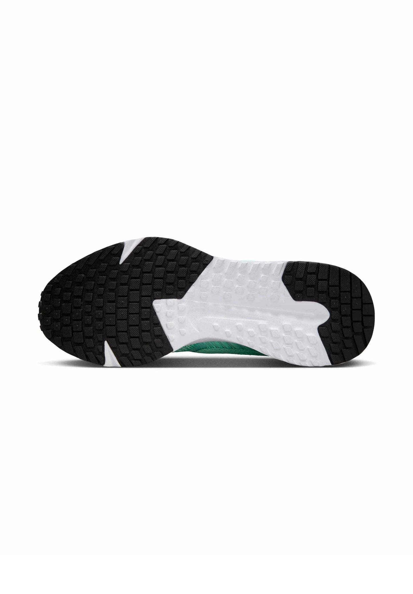ZAPATILLAS NIKE RUN DEFY MUJER HM9593