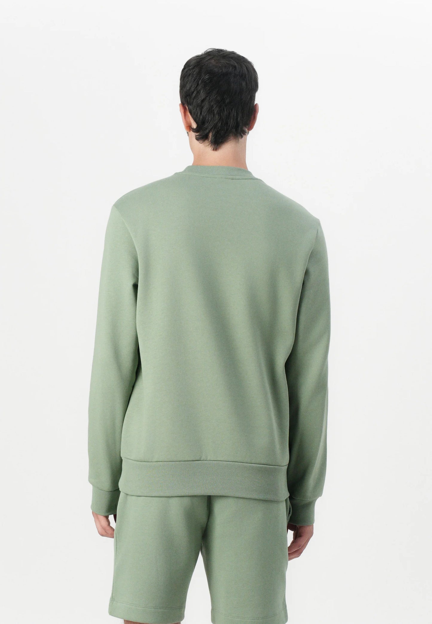 SUDADERA DE FELPA CEPILLADA LACOSTE SH960800