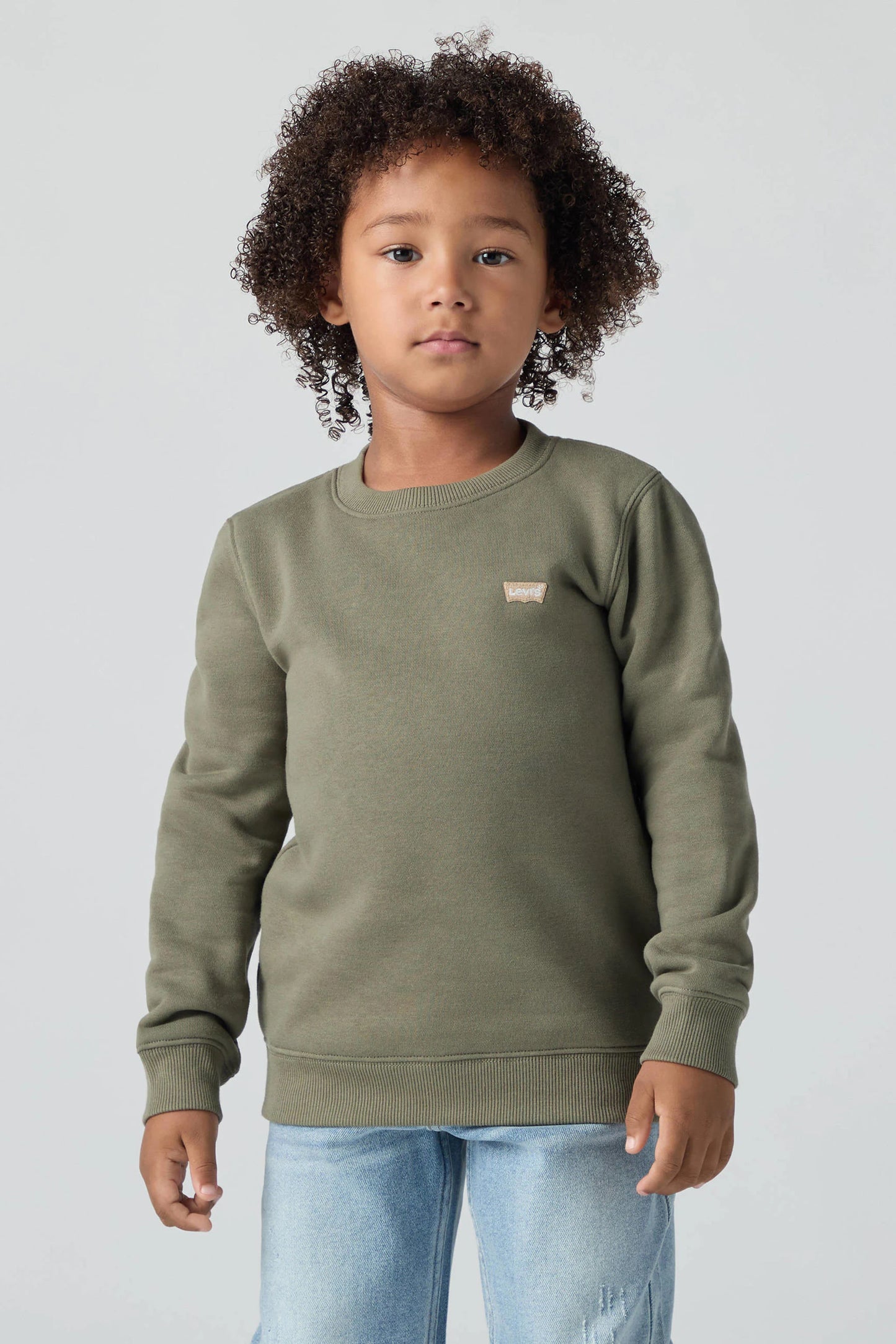 SUDADERA LEVIS NIÑO  8EE331