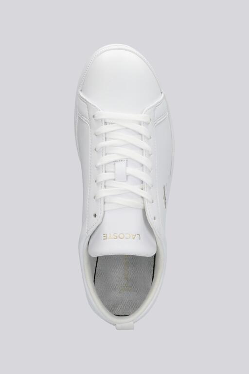 ZAPATILLA MUJER COURT BASE LACOSTE 751SFA0182216