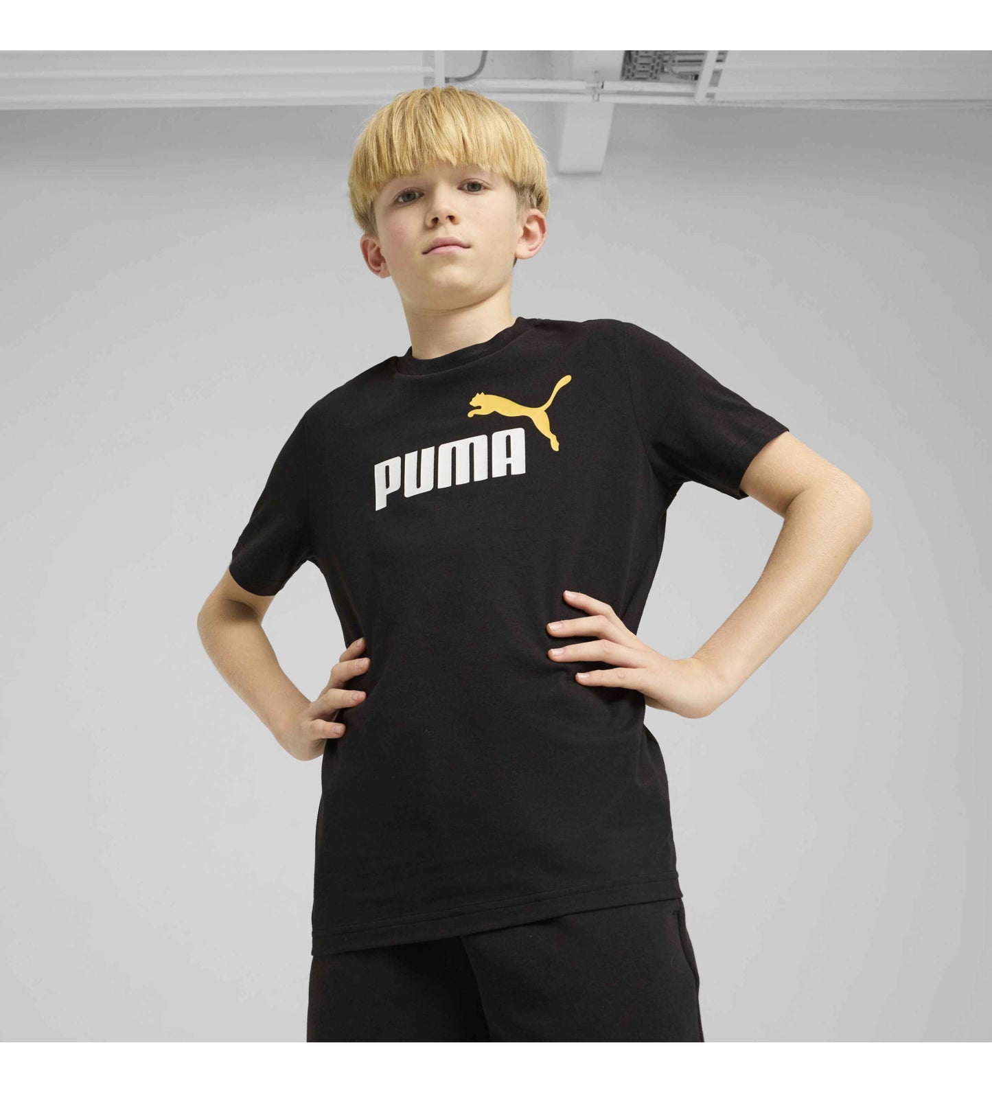 CAMISETA ESSENTIALS PUMA 685778