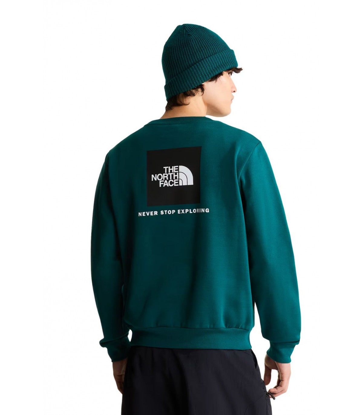 SUDADERA HOMBRE THE NORTH FACE NSE EVOLUTION NF0A8FD3N4J