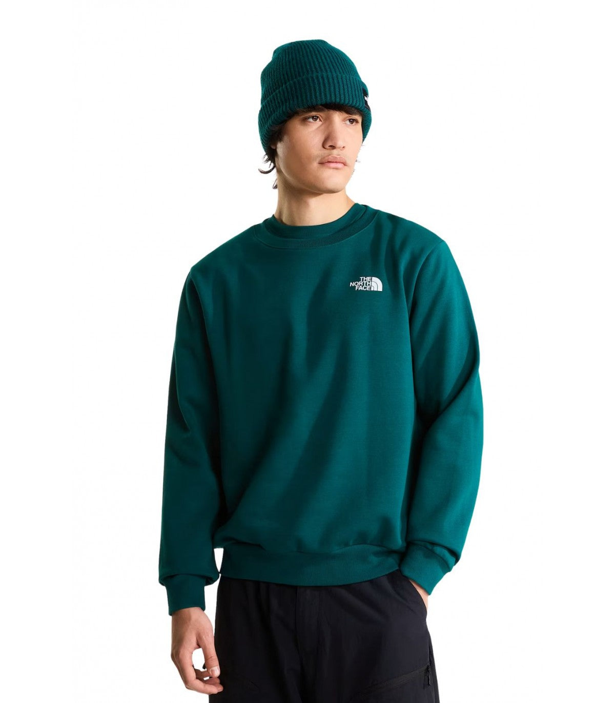 SUDADERA HOMBRE THE NORTH FACE NSE EVOLUTION NF0A8FD3N4J