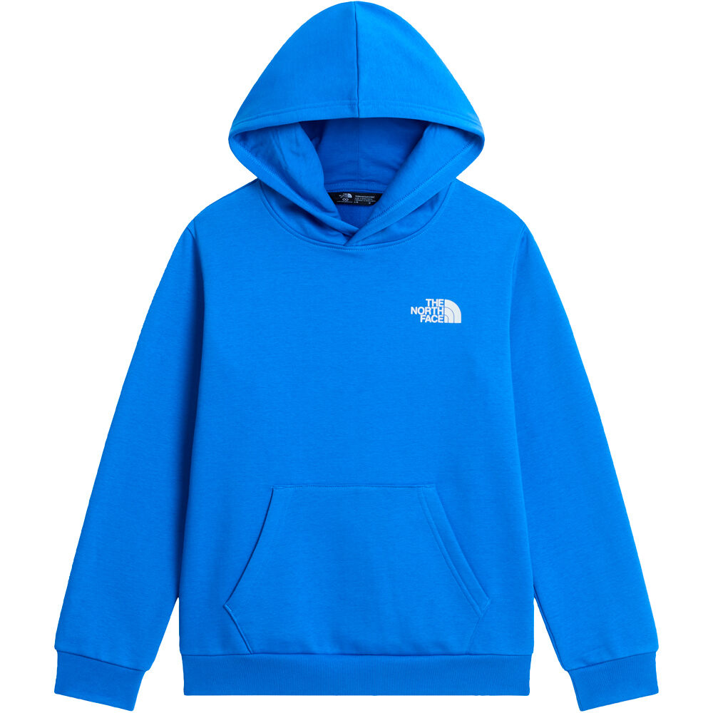 SUDADERA KIDS THE NORTH FACE EVOLUTION BOX NF0A8CV5NLQ1