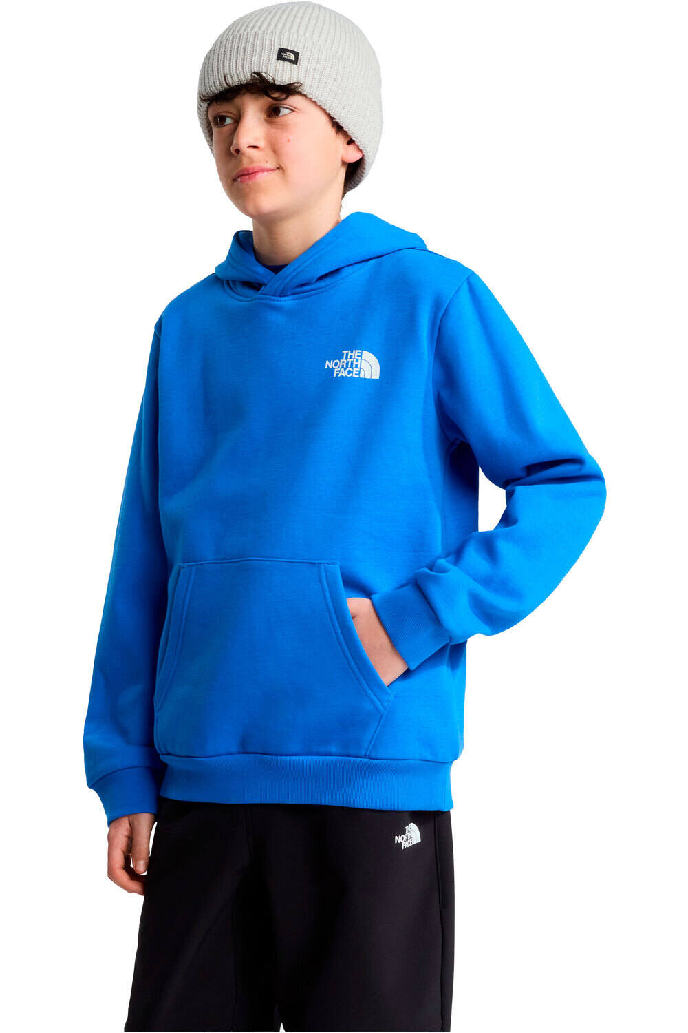 SUDADERA KIDS THE NORTH FACE EVOLUTION BOX NF0A8CV5NLQ1